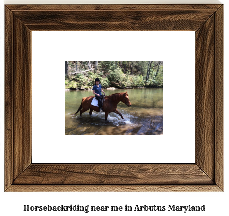 horseback riding near me in Arbutus, Maryland